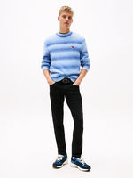 Lade das Bild in den Galerie-Viewer, Tommy Jeans | Scanton Slim Fit Jeans | 1BZ Black