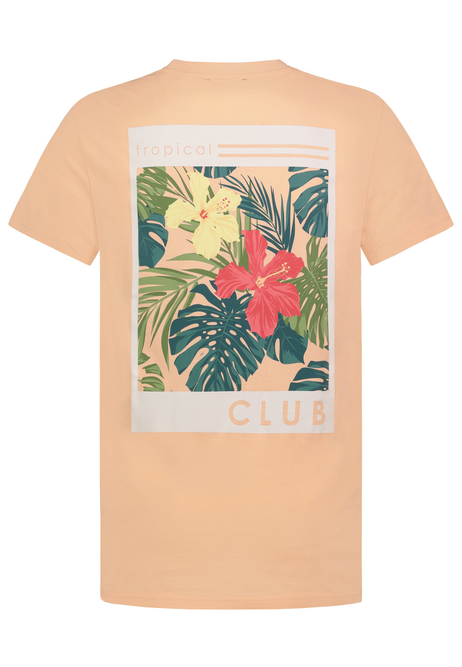 Sublevel | T-Shirt mit Backprint | Sunset Peach