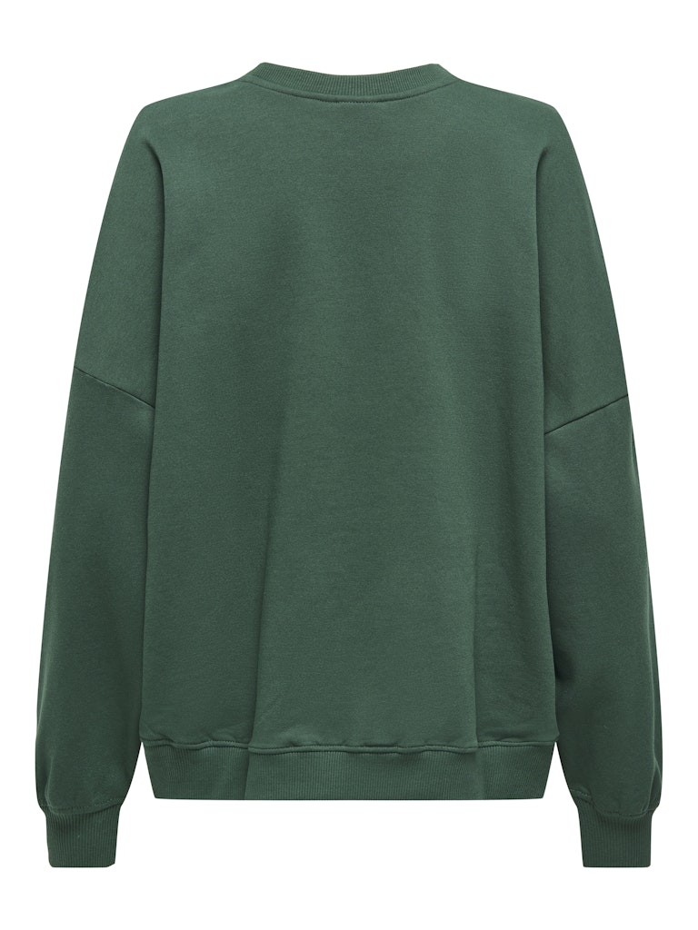 Only | BILA Sweatshirt | Pineedle